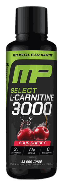 MusclePharm L-Carnitine 3000